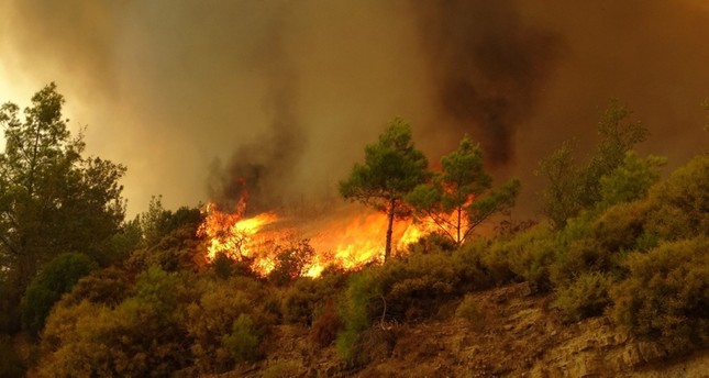 الاتحاد الأوروبي وبريطانيا يتضامنان مع تركيا إثر حرائق الغابات