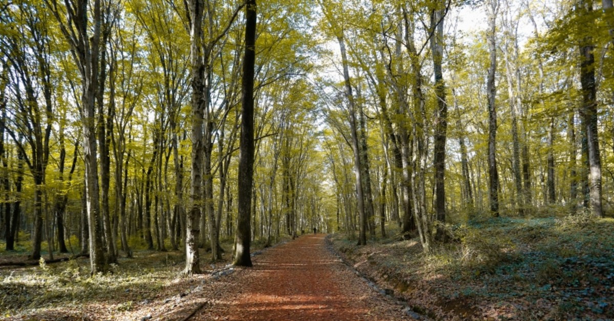 New Trekking Lines On Bus Network To Serve Istanbulites On Weekends Daily Sabah