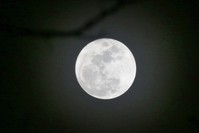 The full moon has always been associated with evil in many cultures.