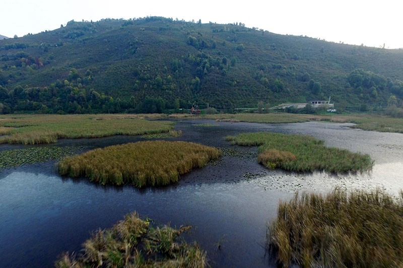 Bird paradise in northwest Turkey amazes visitors with scenery, wildlife