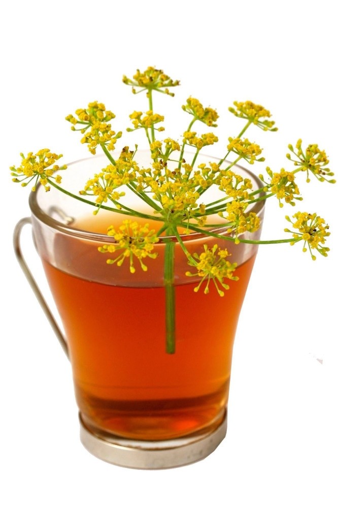 best tea for upset stomach and diarrhea