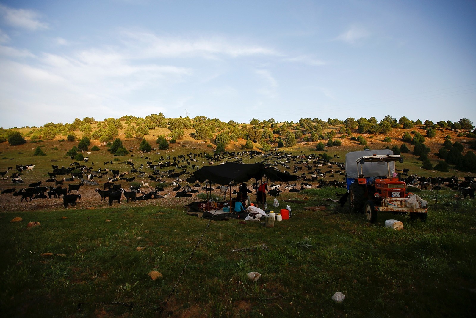 Последние кочевники Турции странствуют по Анатолии