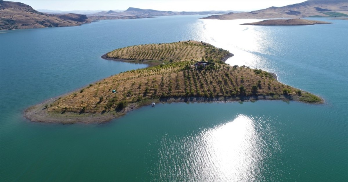 Abay's island is home to 3,500 trees now after 14 years.