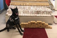 Police seized 152 kilograms of heroin in eastern Van province, July 25, 2019.