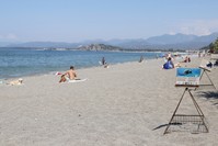 The loggerhead nests at the u00c7alu0131u015f Beach are protected by the Sea Turtles Research, Rescue and Rehabilitation Center.