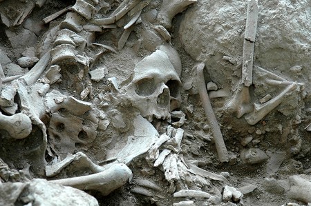 Human skeletons discovered at the excavation site in Gökçeada, northwestern Turkey (AA Photo)