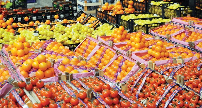 صادرات تركيا من الفواكه والخضار بلغت نحو 3.5 ملايين طن في العام الحالي