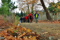 Every weekend, Edremitu2019s villages host local and international tourists for nature walk and photography shooting.