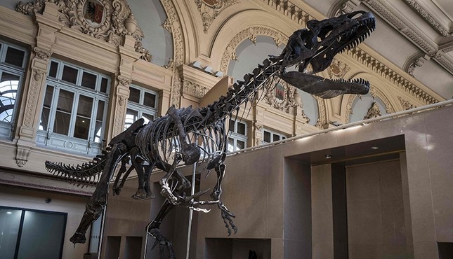 mystery-dinosaur-skeleton-expected-to-fetch-2m-at-paris-auction-1521145889495.jpg