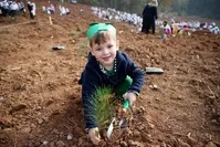A boy plants a sapling on National Forestation Day, Sakarya, Nov. 11, 2019. (AA Photo)