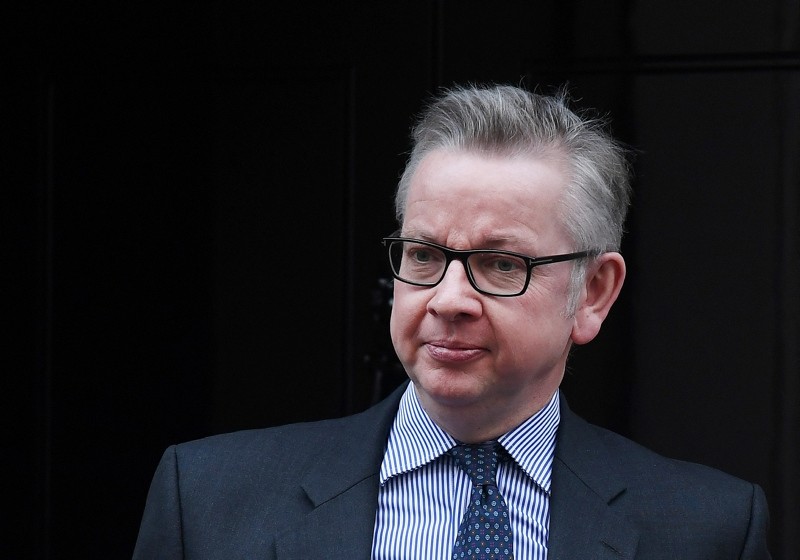 British Secretary of State for Environment, Michael Gove departs a cabinet meeting at 10 Downing Street in London,  Britain, November 28, 2017. (EPA Photo)