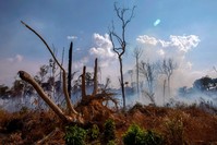 View of a burnt area after a fire in the Amazon rainforest near Novo Progresso, Para state, Brazil, on August 25, 2019. (AFP Photo)