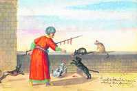 A painting depicting an Ottoman feeding street cats and dogs with meat.