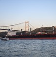 إدانات وقلق لانسحاب روسيا من اتفاقية تصدير الحبوب عبر البحر الأسود