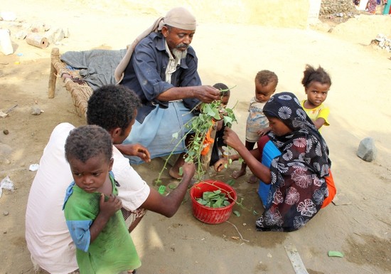 In this Aug. 25, 2018 photo, a man feeds children Halas, a climbing vine of green leaves, in Aslam, Hajjah, Yemen. (AP Photo)
