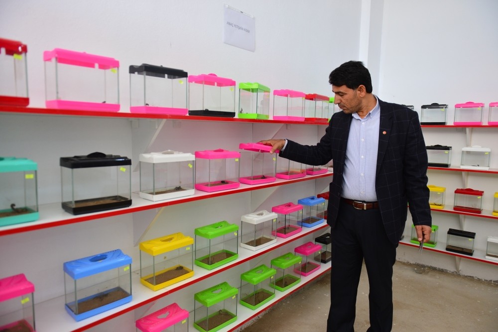 Ali Yu0131lmaz breeds some 500 scorpions in the storage area he set up in his basement. 