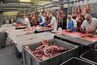 The two Turkish businessmen's slaughterhouse processes about 50 tons of meat daily. (AA Photo)