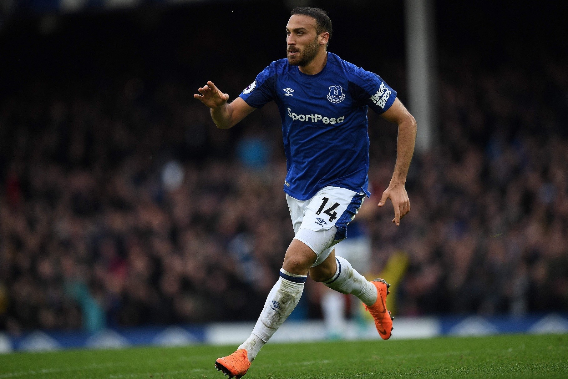 Evertonu2019s Turkish striker Cenk Tosun celebrates scoring his teamu2019s second goal during the English Premier League football match between Everton and Brighton and Hove Albion at Goodison Park in Liverpool.