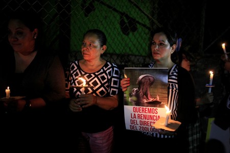 People participate in a protest over the death of a hippo after an attack in San Salvador. (Reuters Photo)