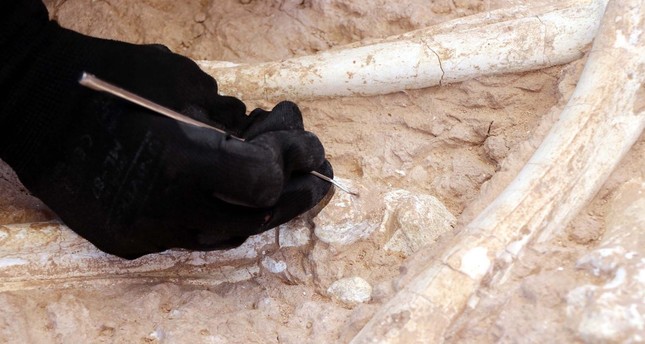 علماء الآثار يعملون في موقع تنقيب حيث تم اكتشاف عظمة زرافة عمرها 7.5 مليون عام، في قيصري، تركيا 12 يوليو ، 2023 الأناضول