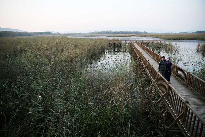 Bird paradise in northwest Turkey amazes visitors with scenery, wildlife