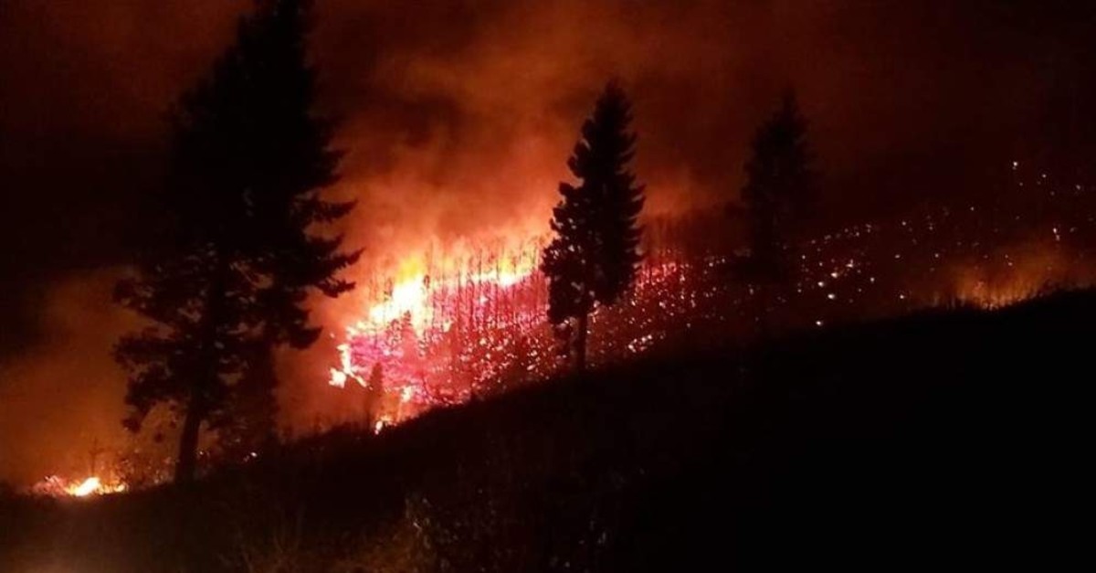 Hundreds of firefighters were dispatched across the Black Sea region to control the wildfires. (AA Photo)