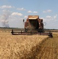 قلق أممي من عدم رغبة روسيا في تمديد اتفاقية تصدير الحبوب عبر البحر الأسود