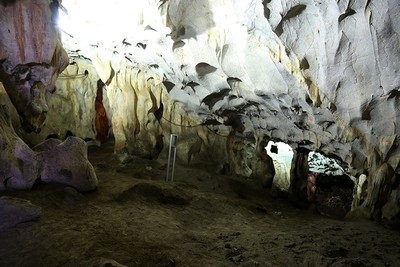 Giant 350,000-year-old animal fossil discovered in Turkey's Antalya