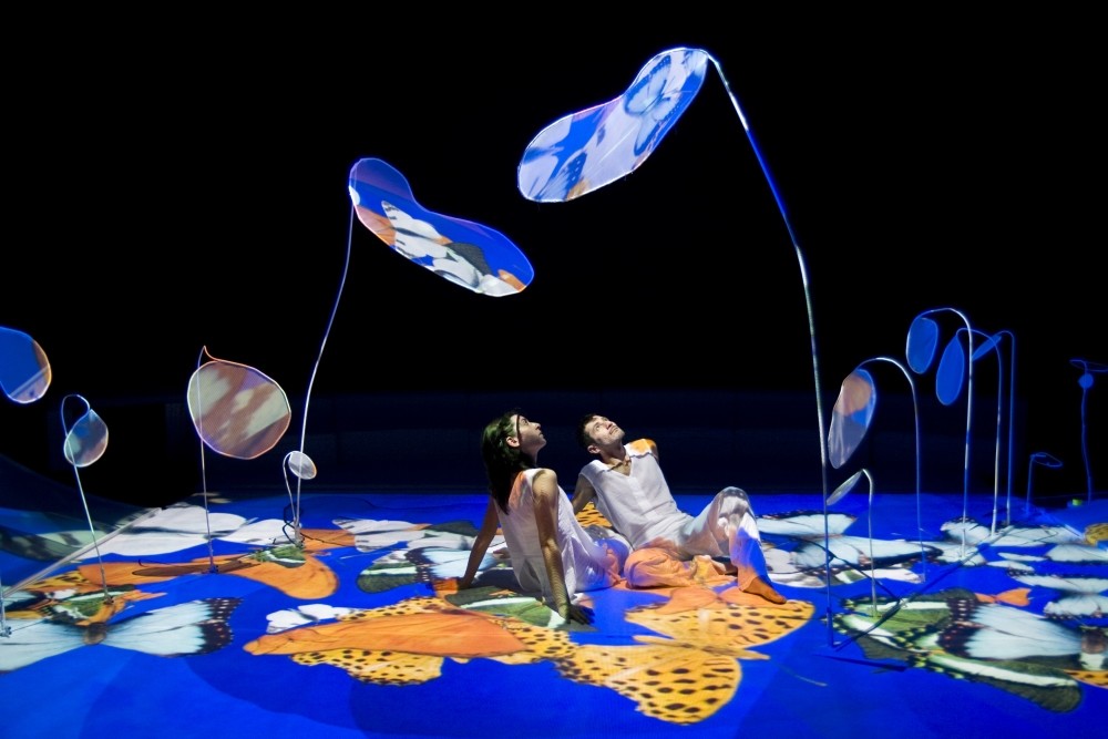 ,Farfalle, offers a grand experience to viewers with lights, colorful shots and sounds of rain forests.