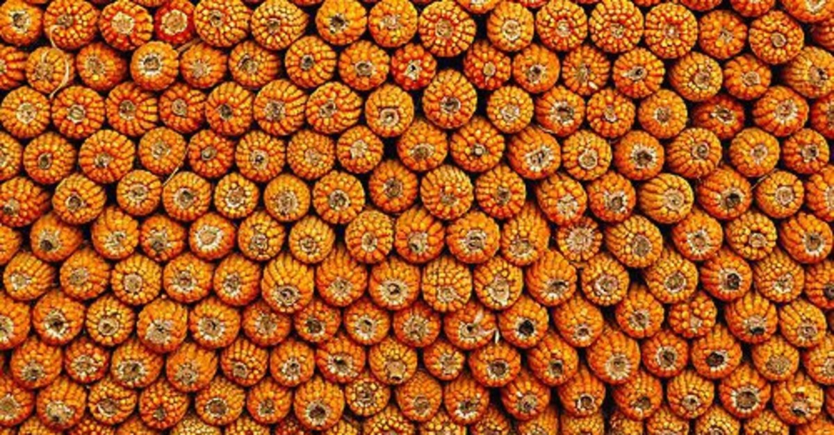 Color, pattern and signs, objects and shapes in the background misdirect algorithms that help artificial intelligence to see.