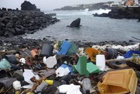 The level of plastic litter scattered across the world's oceans and seas has recently peaked, posing a serious threat to both human and animal life.