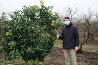 Yaman quarantined himself at his family's cottage in Adana after returning from China's Wuhan. (AA Photo)