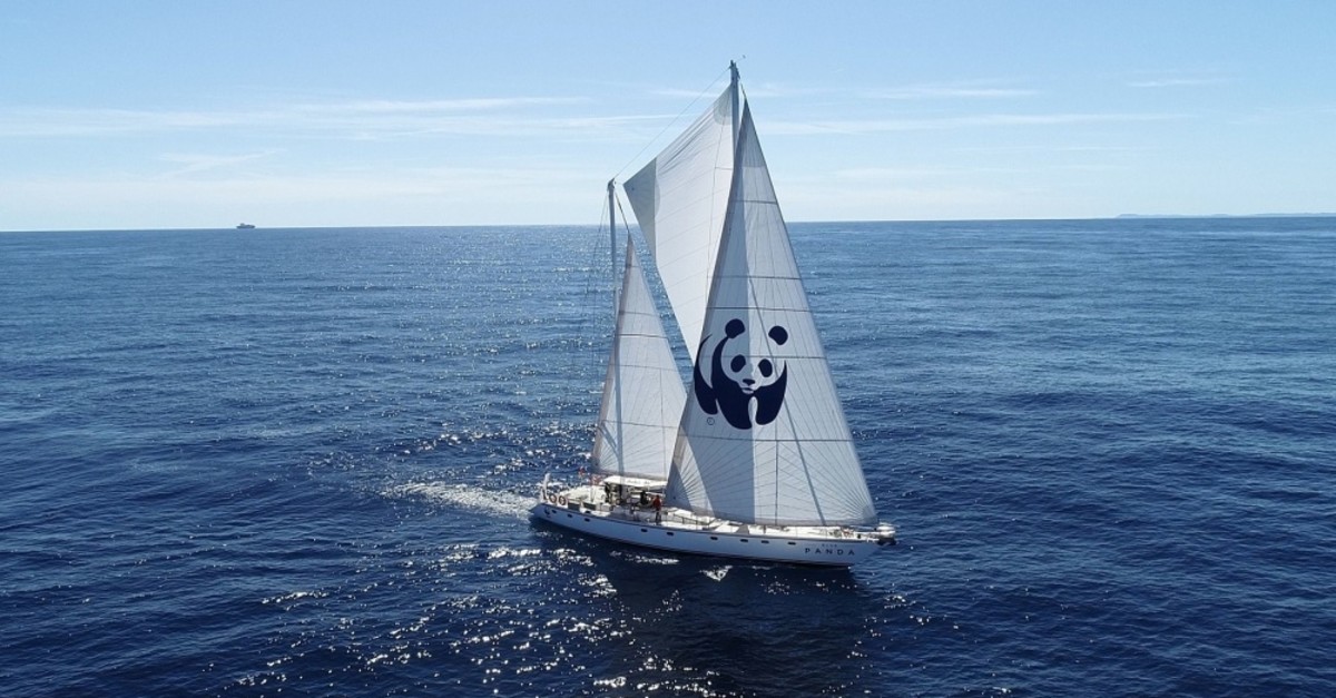 WWF's boat Blue Panda is in Istanbul to draw attention to marine pollution in the Mediterranean.
