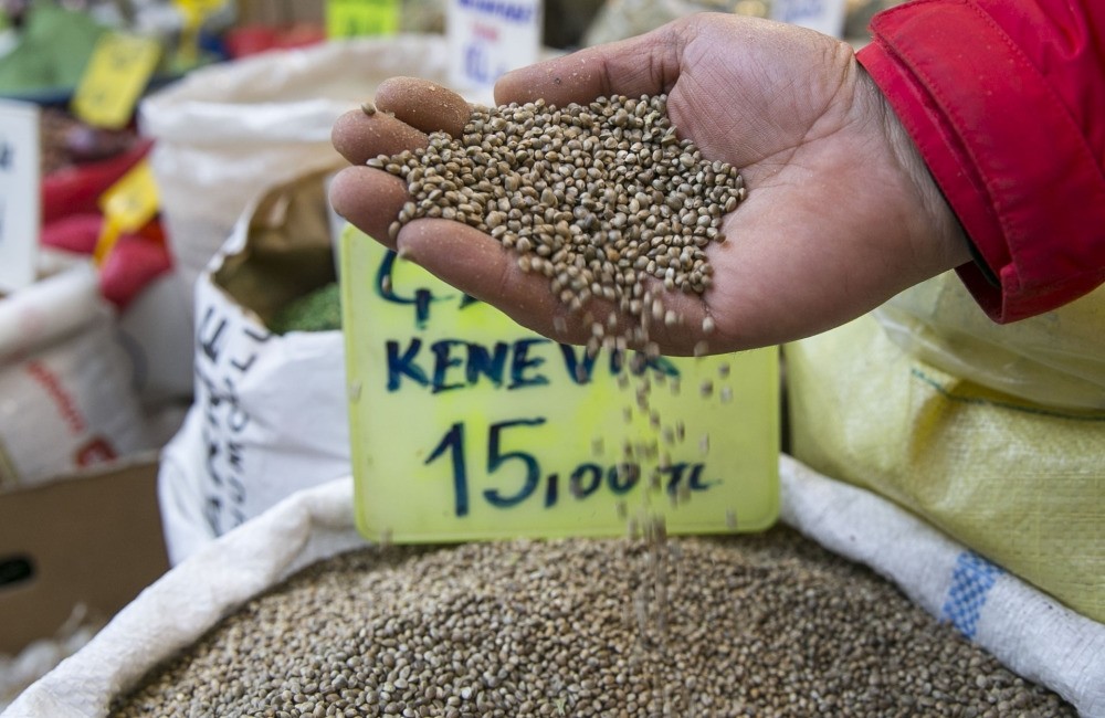 Cannabis cultivation is allowed only in 19 provinces in Turkey with legal supervision for the purpose of using its fiber and seed.