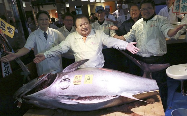 bluefin tuna sold for over 600 000 at japan auction daily sabah