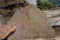 This handout picture released by Virginia Tech on September 4, 2019 shows trace fossils, showing the density of traces, from ~550 million year old rock in the Yangtze Gorges area, South China (AFP Photo)