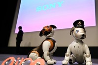 Versions of Sony's puppy-sized robot dog ,Aibo,, including a 2019 limited special colour model (L), are displayed during a press conference at the company's headquarters in Tokyo on January 23, 2019 (AFP Photo)