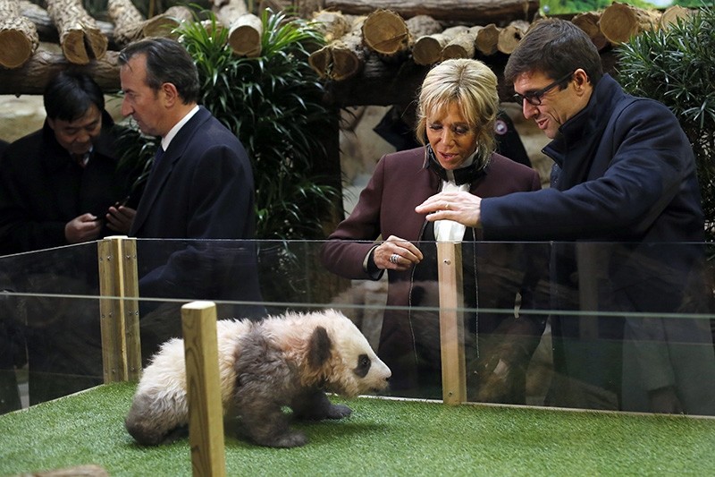 French First lady Brigitte Macron attends a naming ceremony of the panda born at the Beauval Zoo, with Rodolphe Delord, director of the zoo, in Saint-Aignan-sur-Cher, France, Monday, Dec. 4, 2017. (AP Photo)