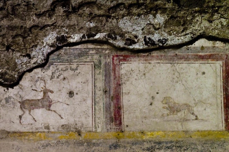 Part of fresco at domus delle Nozze d' Argento in Pompeii, Italy, 17 May 2018. (EPA Photo)