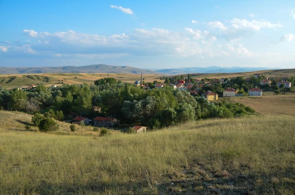 Photographs by Mindy Yartau015fu0131.