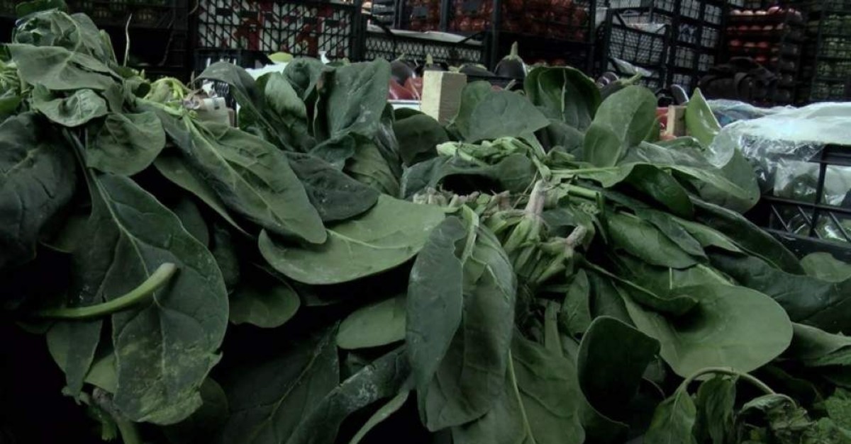 'Toxic' spinach poisons dozens in Turkey Daily Sabah