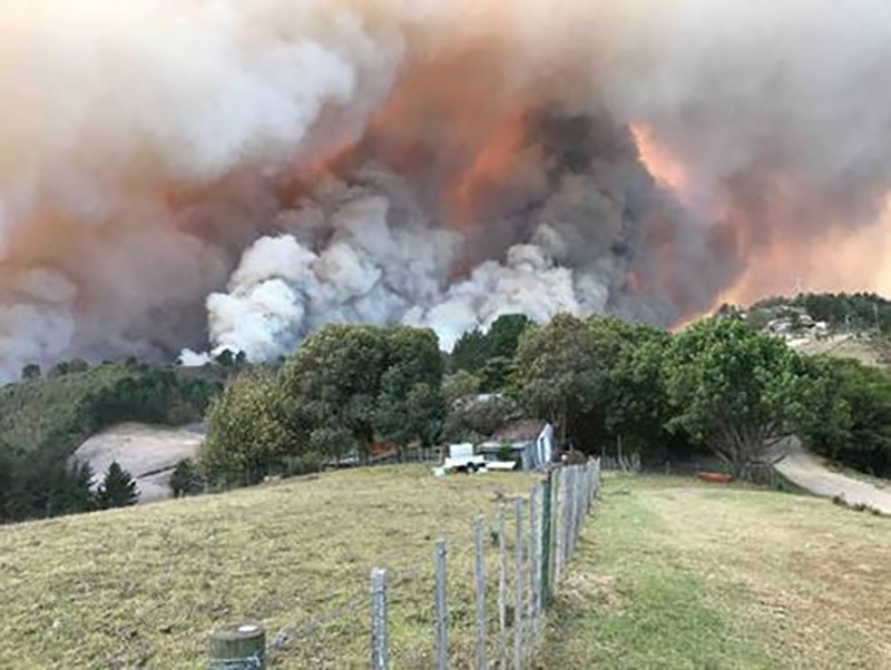 Fires burn at Buffelsvermaak farm near Knysna, South Africa June 7, 2017. (Reuters Photo)