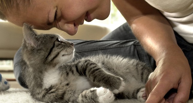 Vorsicht Bei Katzenkot Infektionsgefahr Toxoplasmose Daily