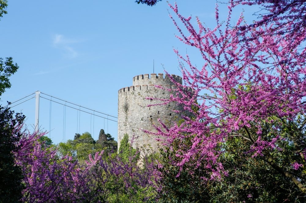 Photo by Murat u015eengu00fcl