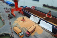 Workers load imported soybeans onto trucks at a port in Nantong, Jiangsu, China, April 4.