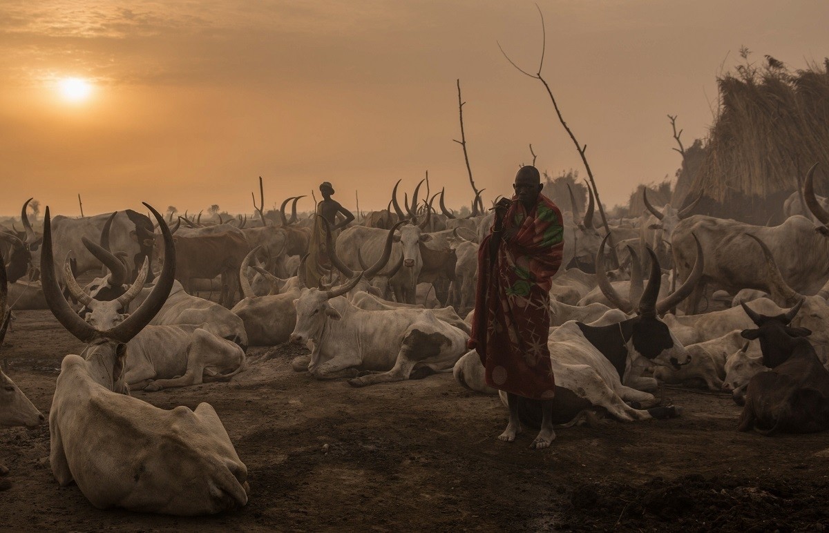 South Sudan's cattle grazers in pictures