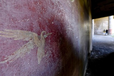 Street of balconies discovered in Italy's Pompeii
