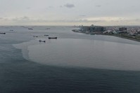 Maritime pollution has particularly increased on Istanbul's Zeytinburnu coast. (DHA Photo)