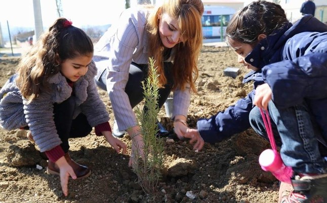 Image result for Turkey plants 11 million saplings on National Forestation Day
