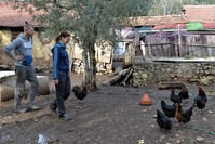 Volunteers help Selu00e7uk u015eahin, who is the owner of the farm, with daily chores.